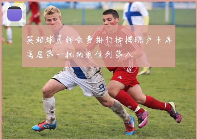 英超球员转会费排行榜揭晓卢卡库高居第一托纳利位列第八
