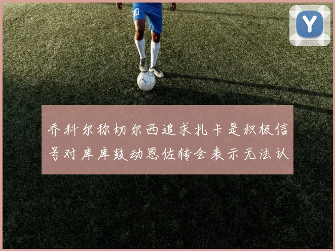 乔科尔称切尔西追求扎卡是积极信号对库库鼓动恩佐转会表示无法认同