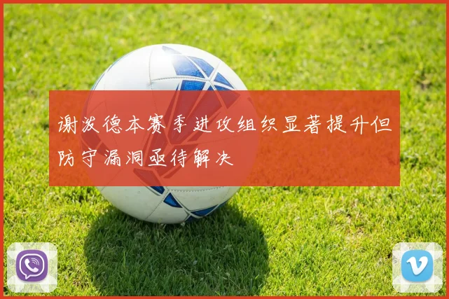 谢泼德本赛季进攻组织显著提升但防守漏洞亟待解决