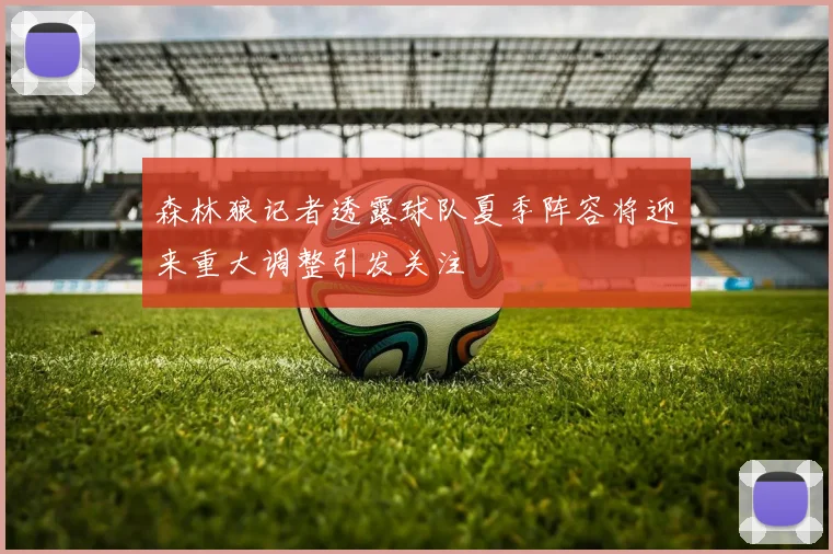 森林狼记者透露球队夏季阵容将迎来重大调整引发关注
